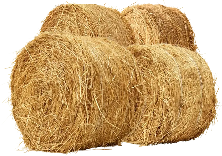group of round hay bales